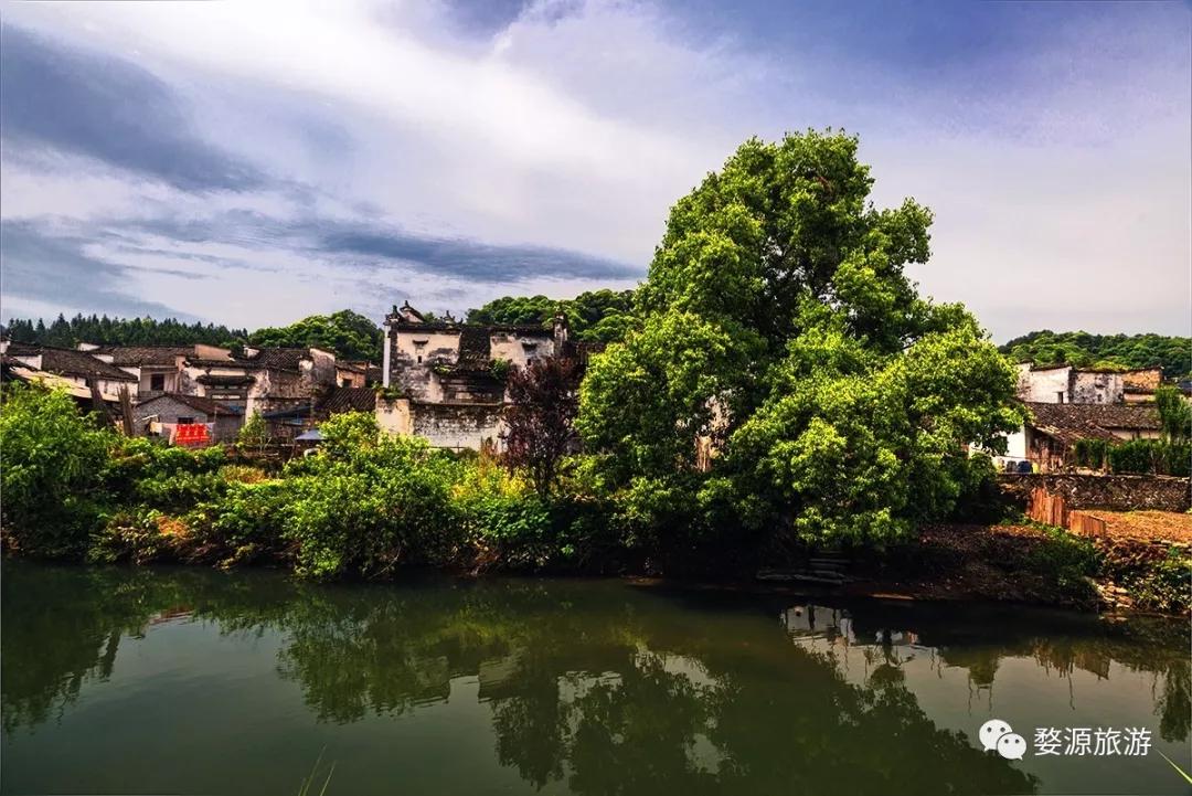 五一去婺源千古茶园,婺源茶文化旅游路线攻略