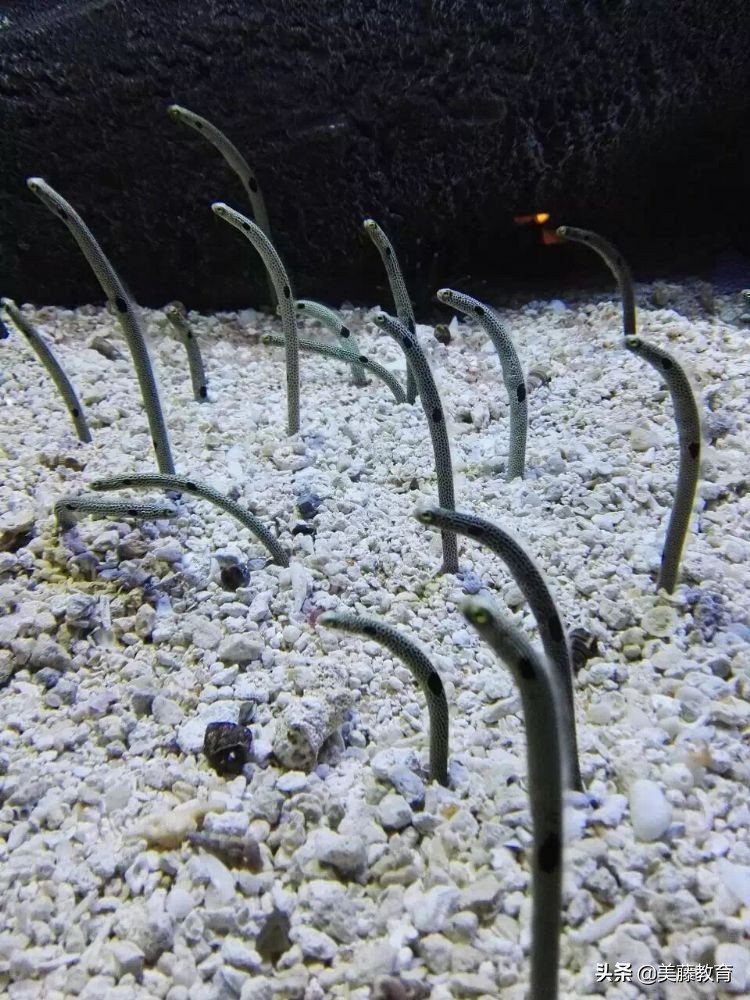 华盛顿大学西雅图在哪,华盛顿大学西雅图分校地理位置