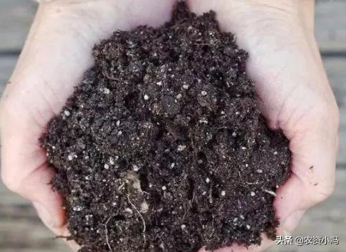 枯草芽孢杆菌能与杀菌剂混用吗,枯草芽孢杆菌能和杀菌剂混用吗