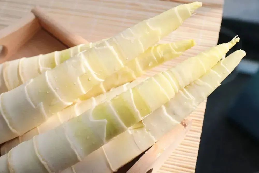 舌尖上的珍味春笋,舌尖上的春笋完整视频