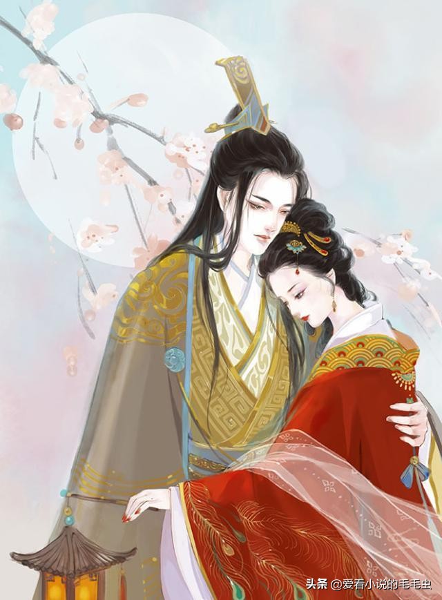 四本宫斗小说,四本好看的斗罗后宫小说