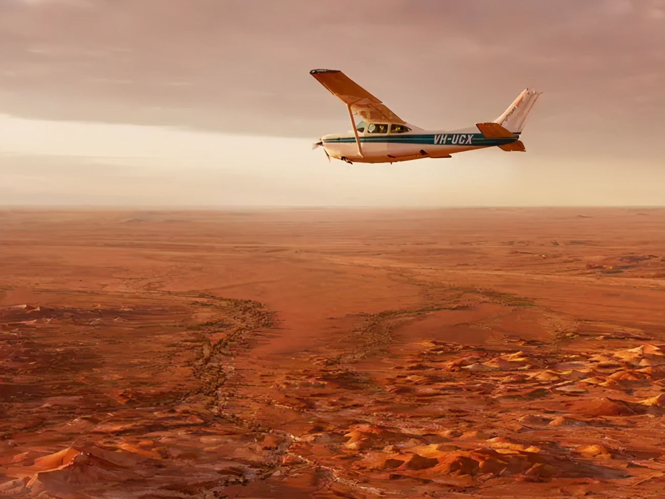 来了澳洲才知道，原来这些都是真的