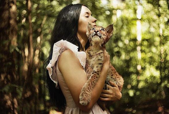 想养猫又怕被猫抓,俄罗斯养猞猁