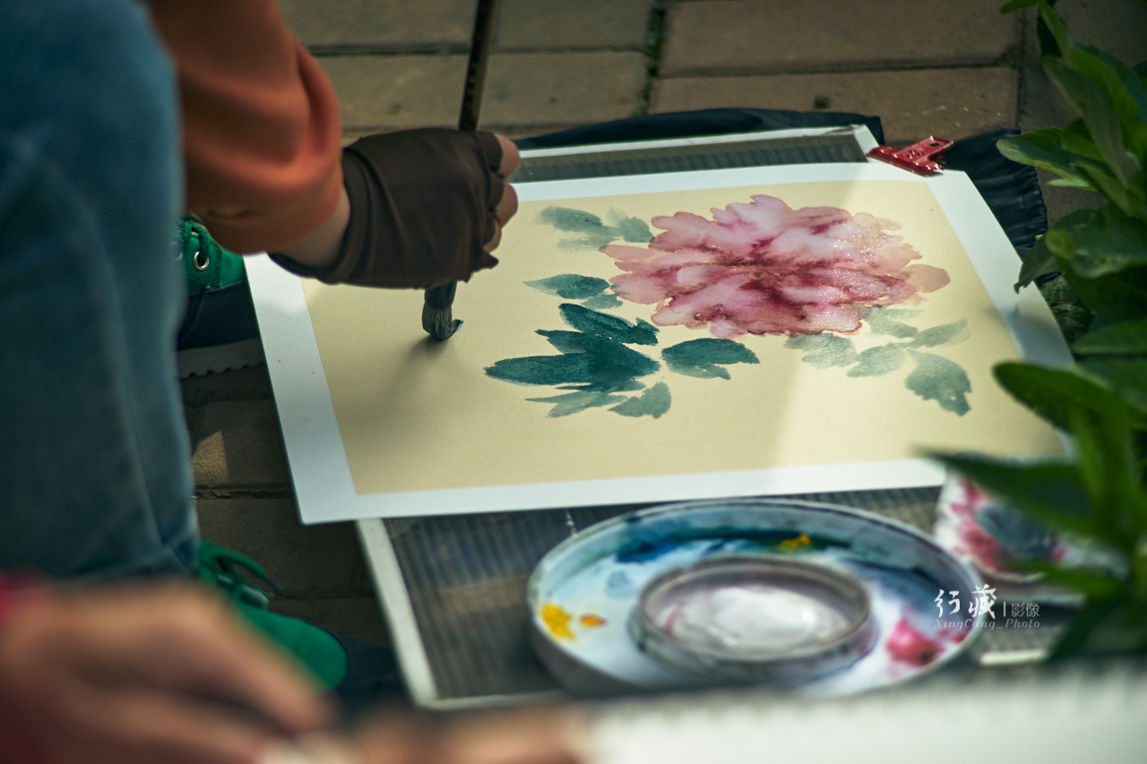 牡丹盛开的地方牡丹园,牡丹园牡丹花竞相绽放