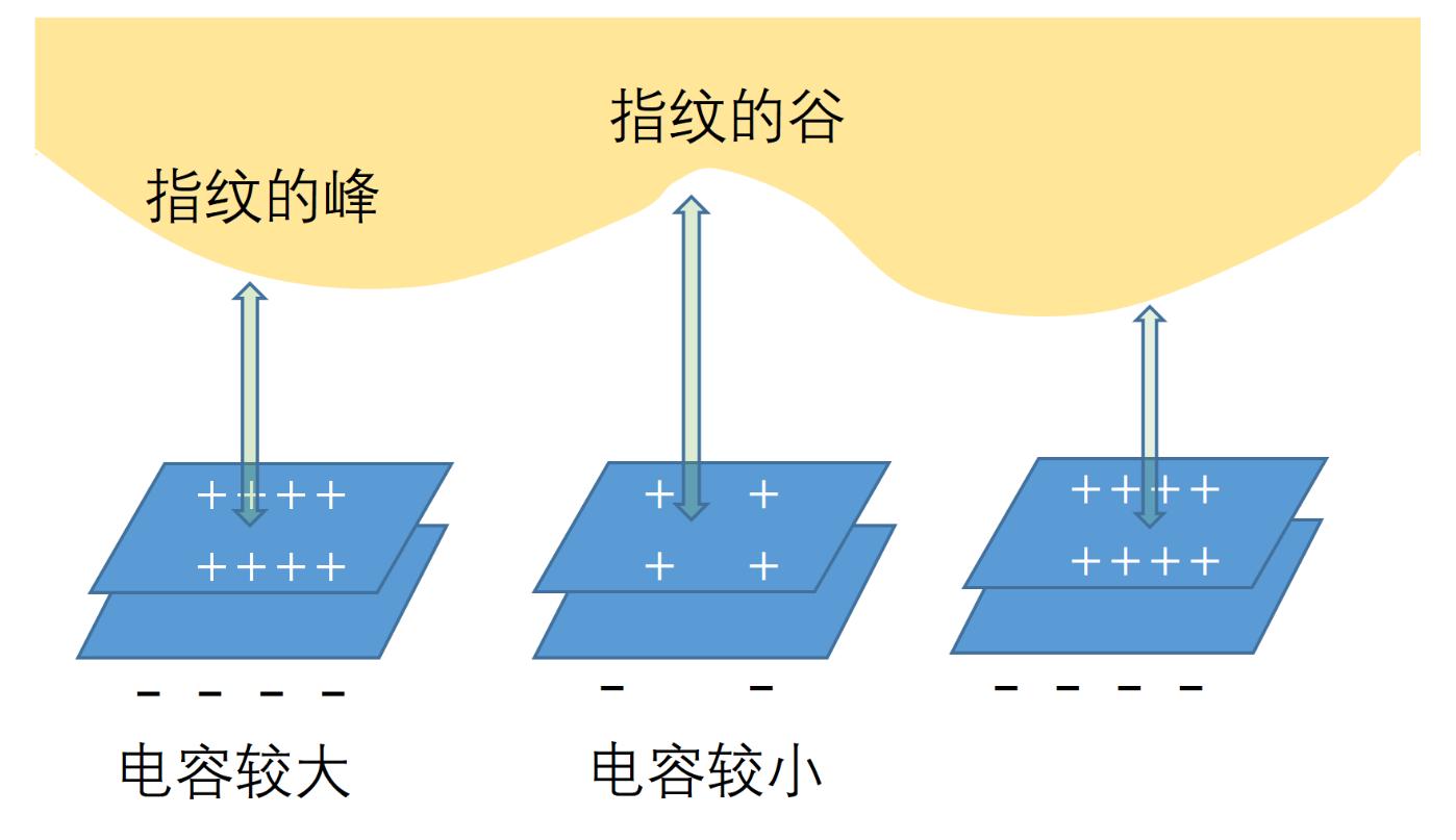 手机指纹识别的几种方式,指纹识别有哪几种方式