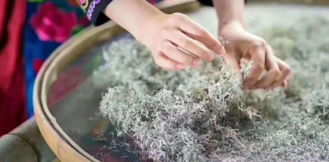 张家界的莓茶酥,张家界的莓茶是什么植物