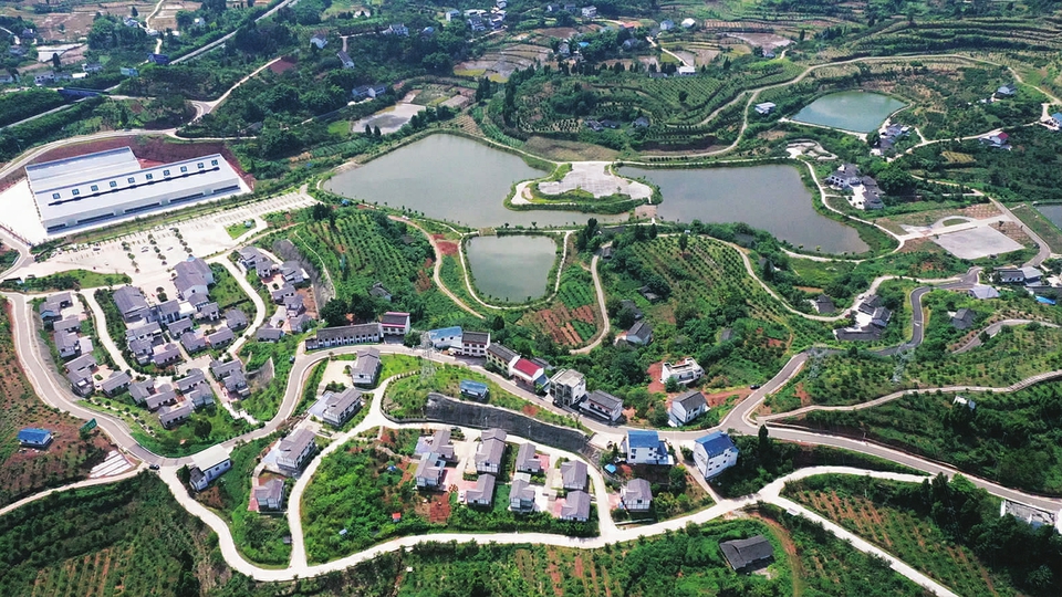 新型职业农民和三产融合,培育脱贫地区新型职业农民