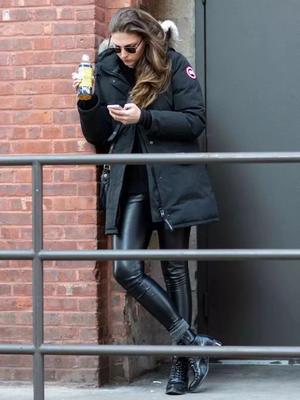 加拿大鹅既要风度又要温度,加拿大鹅冬天怎么保暖的