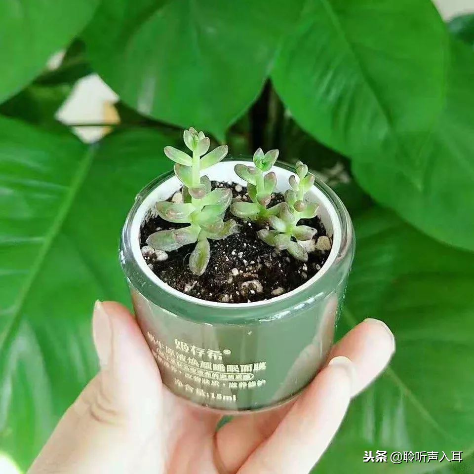 保护护肤,如何保护专柜护肤品套盒不脏