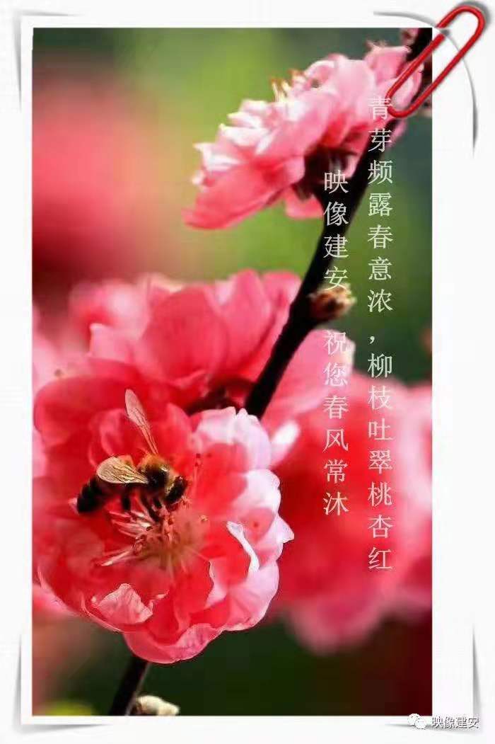 娌冲崡鑰佸涔￠煶涔℃剚,娌冲崡鍐滄潙鐢熸椿瑙嗛涔℃剚