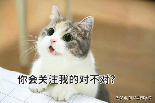 号外号外！！苗泽堂茶多酚卫生巾上央视广告啦