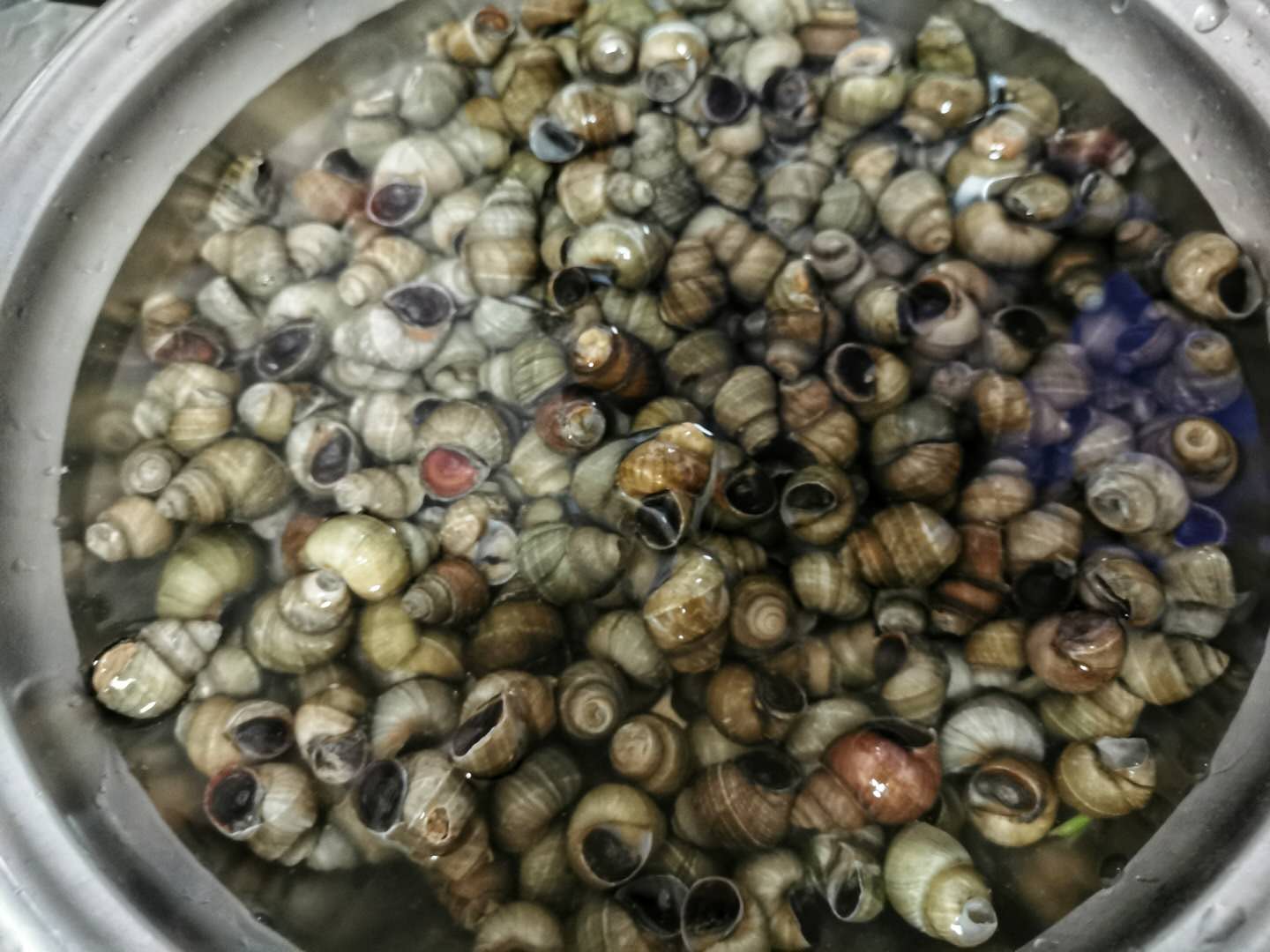 怎么挑螺蛳肉更快更好吃,螺蛳用什么方式做螺蛳肉