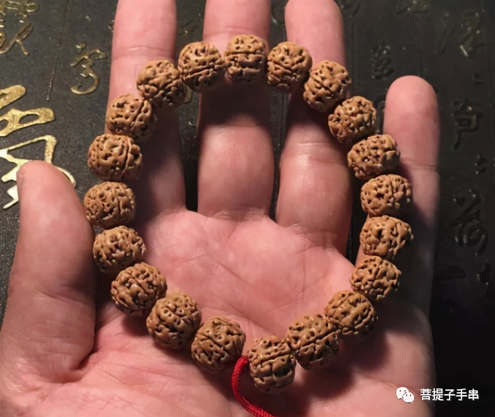 什么样的金刚菩提算上乘,尼泊尔金刚菩提和印尼菩提哪个好