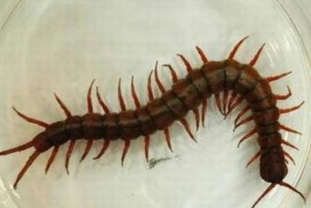 各种加盟创业骗局揭秘视频,加盟创业骗局大全视频讲解