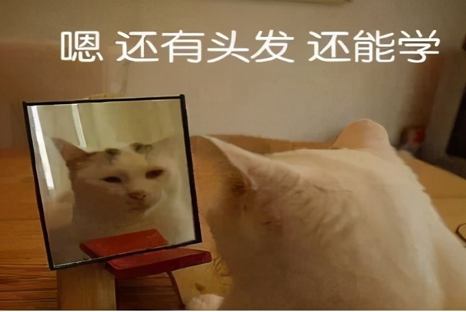 川美录取分数线2019美术生,贵州美术生考央美和川美哪个难