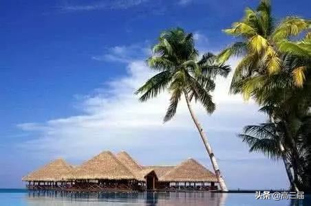 志愿填报中国十大名校有哪些,填报志愿2024院校排名