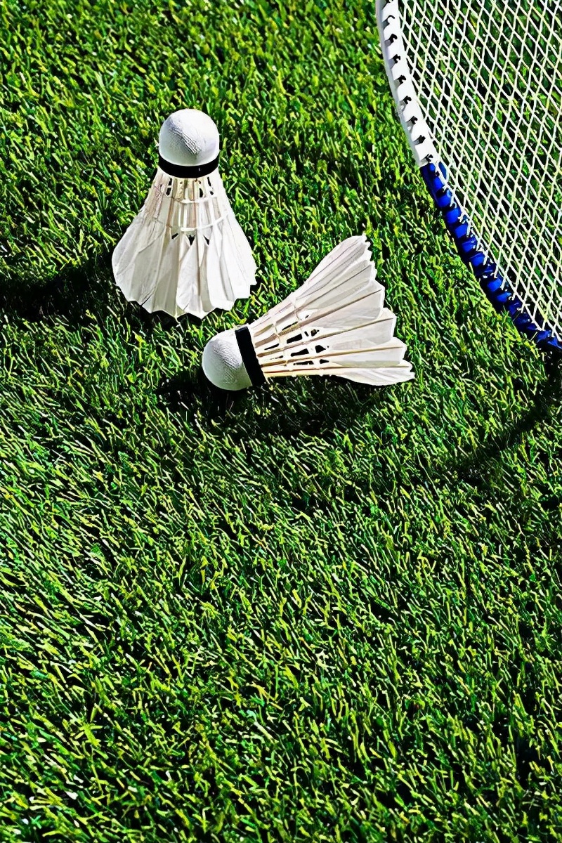 羽毛球爱好者已超3亿人，细数羽毛球运动的5大好处