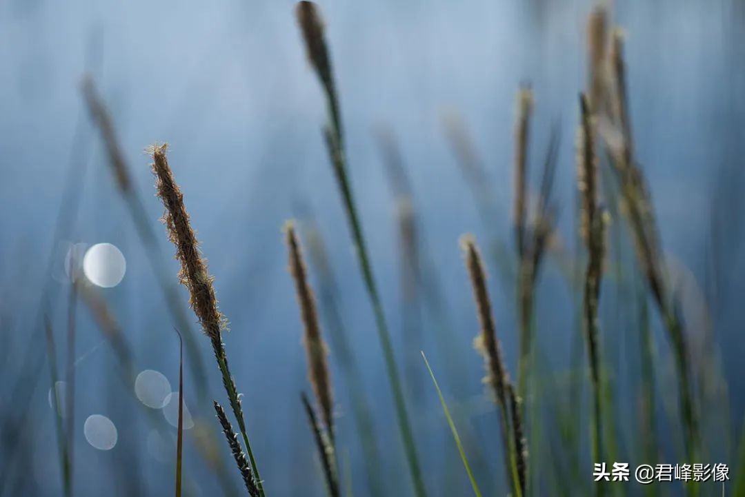 一千个人眼中有一千个世界,一千个人眼里就有一千个你