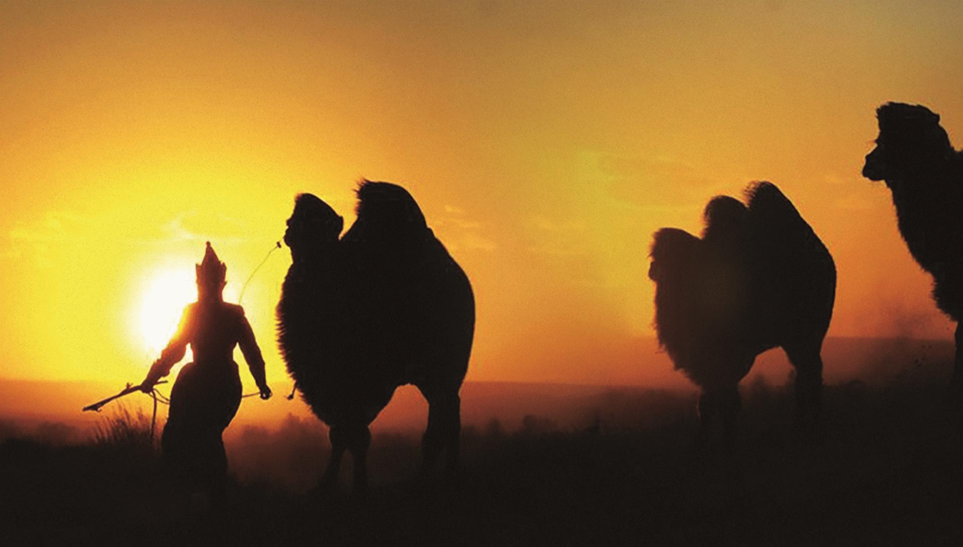 元旦乌兰布统跟团游3天2夜,厦门自由行6天5晚亲子游跟团