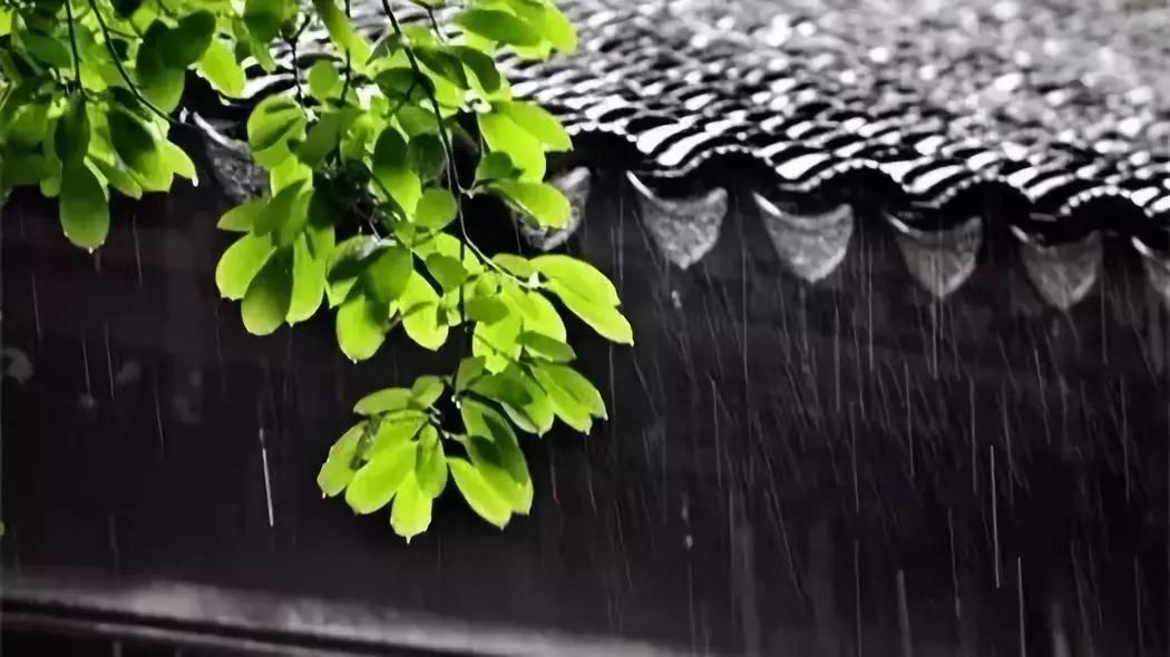 芒种代表人生的寓意,芒种时小麦是不是都收好了