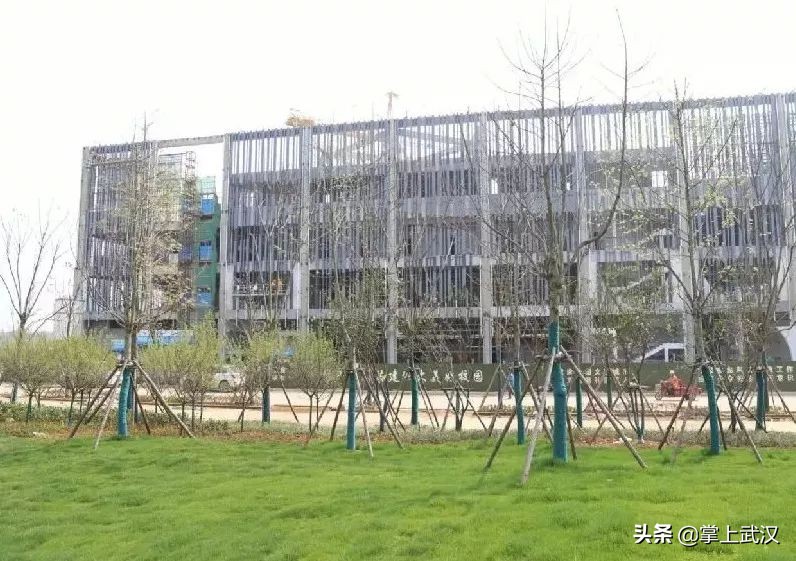 武汉有没有免费的体育馆,武汉体育中心免费开放