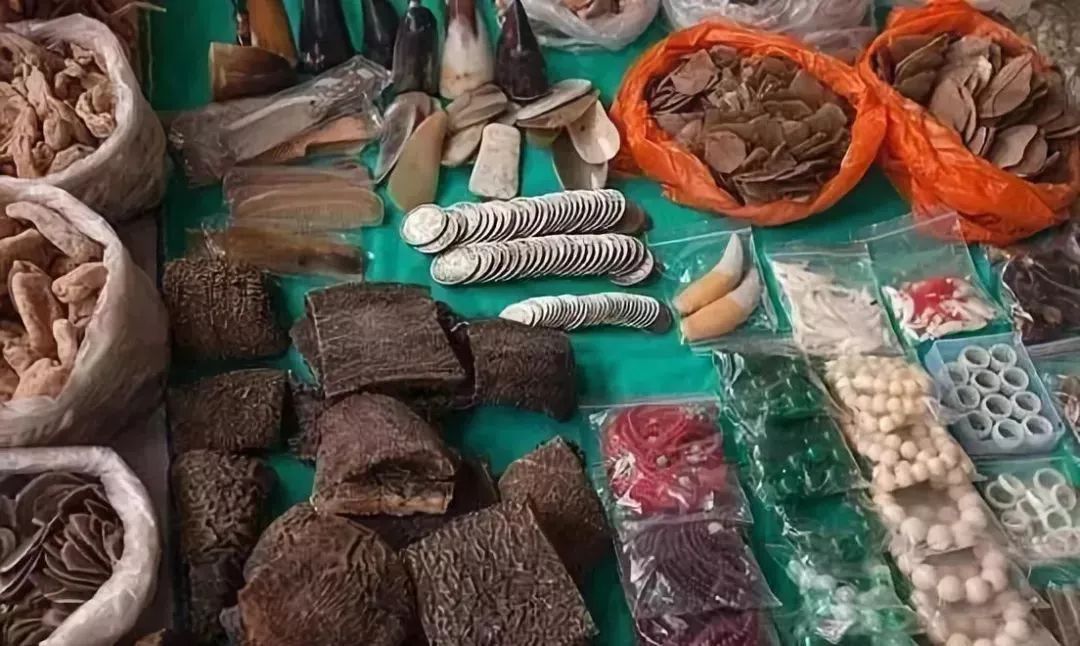 没有买卖就没有杀害带字幕,没有买卖就没有杀害类似的话