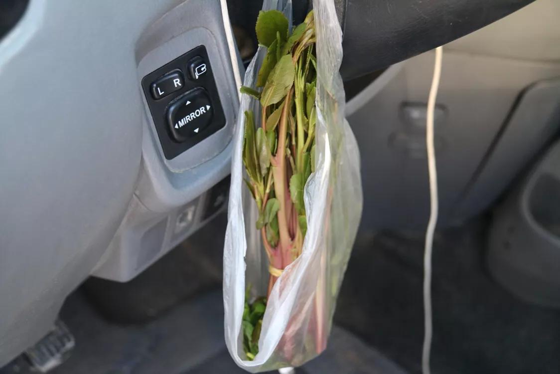 也门人腮帮子鼓起,也门人为什么嘴巴一边鼓起