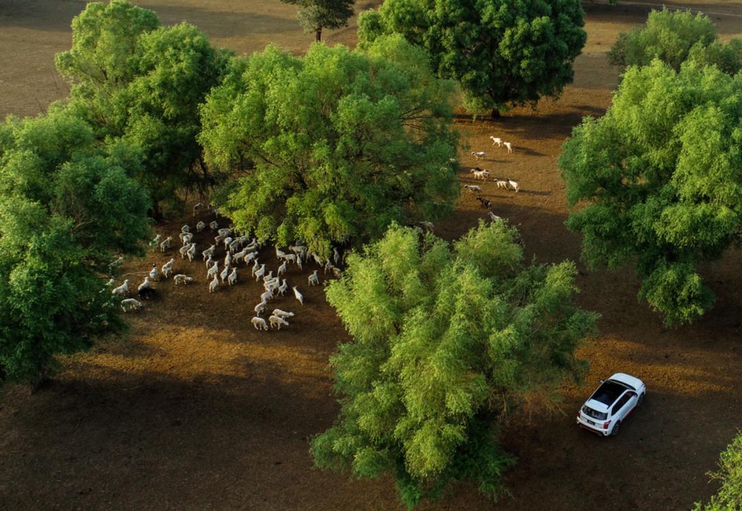 智跑ace探索版试驾,智跑ace200马力怎么样