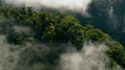 小米性价比最高的老旗舰,罗永浩小米产品