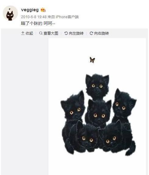 “掉队”的新浪微博，还能乘风破浪吗？