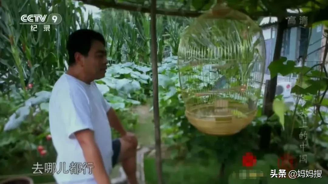 天台李子柒,农村家里的大爷大妈