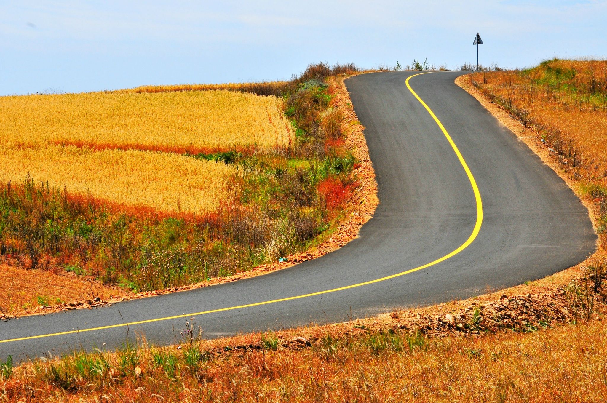 说文解字第234课,说文解字讲解346课