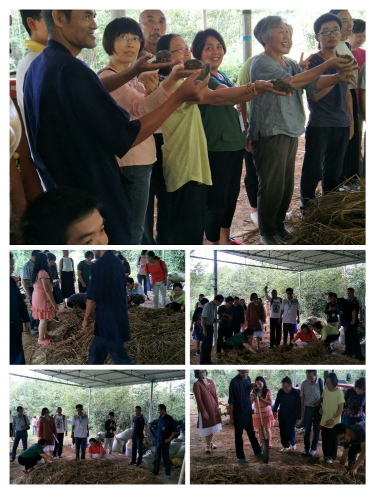 种地用的自制酵素,酵素种地效果怎么样