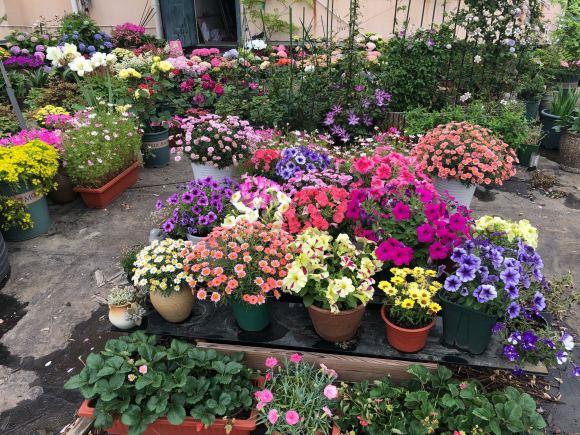 鐜涙牸涓界壒澶忓搴﹀,鐜涙牸涓界壒澶忓ぉ濡備綍搴﹀