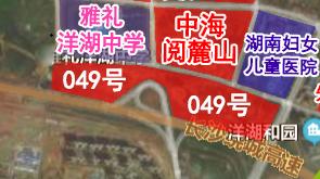 洋湖2025最新规划,洋湖发展