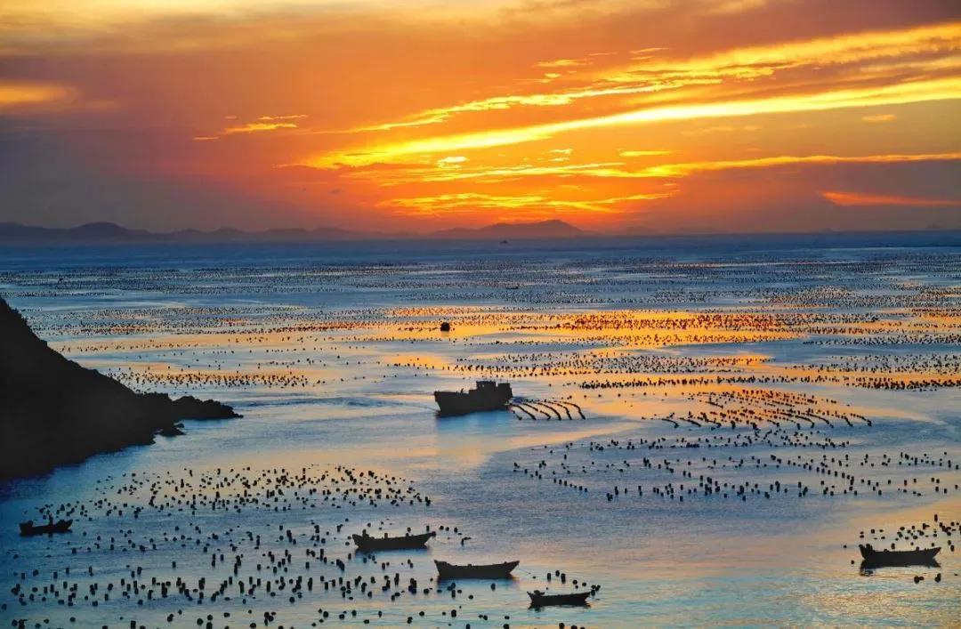 渔都舟山群岛的海鲜果然名不虚传,舟山渔港最好吃的海鲜