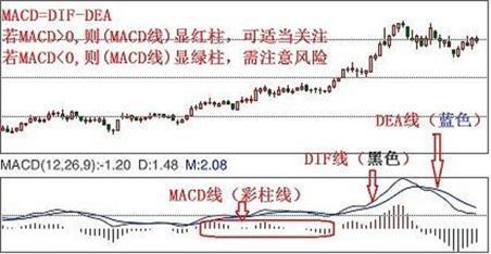 股票基础知识入门macd,股票入门基础知识macd