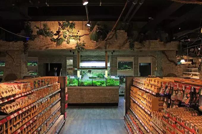 如何维护水族品牌防止“掉队”