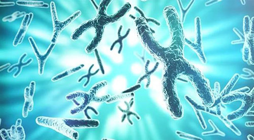 为什么那么多人会有胎停育,为什么越来越多的人胎停育