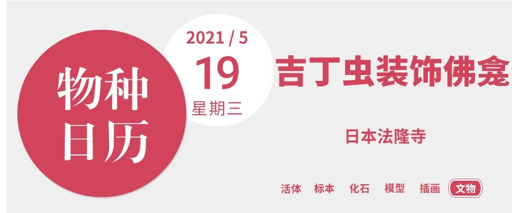 最贵的口红,居然是绿色的?