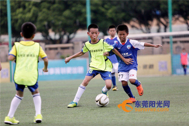 广东体育资讯回顾,广东体育一周资讯回顾