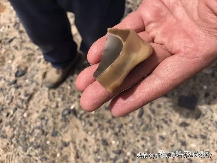 新疆戈壁精灵蛋白石,戈壁蛋白石怎么清洗