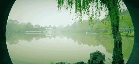 免费半价怎么点,免费半价的噱头