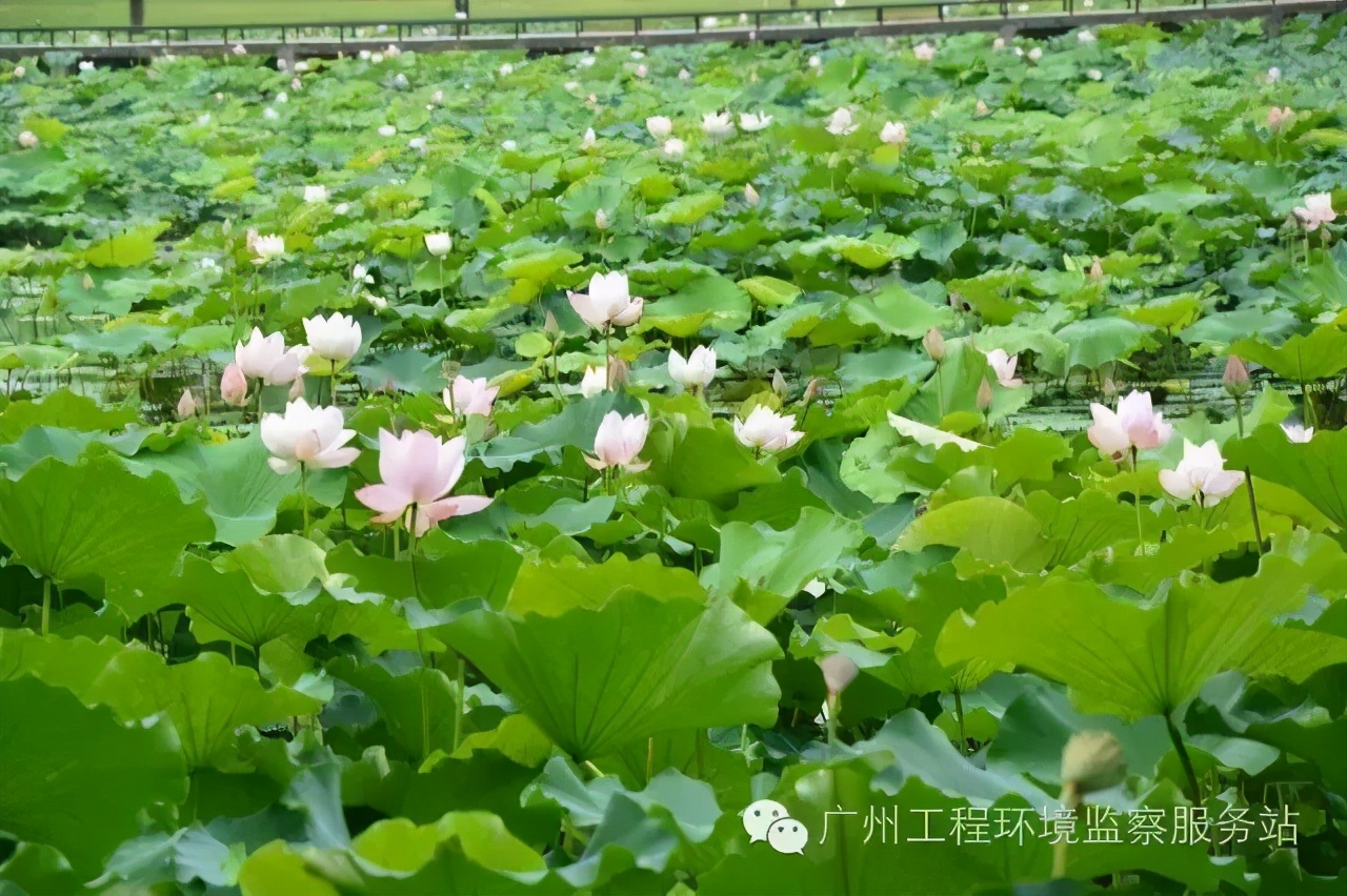 广东大学参观指南大全,广东大学参观预约