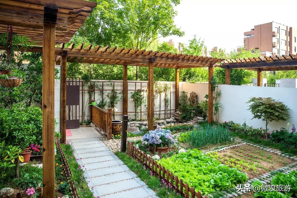 白鹭湾的“选美大赛”，谁是你心中最美的“姑娘”