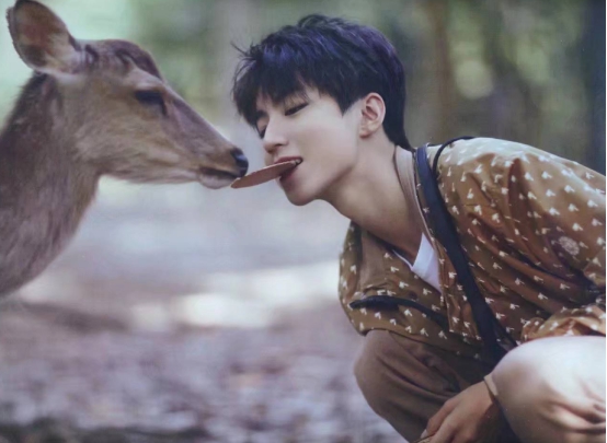 王俊凯牵手蒙牛早餐奶，为你注入活力，粉丝“凯”心每一天