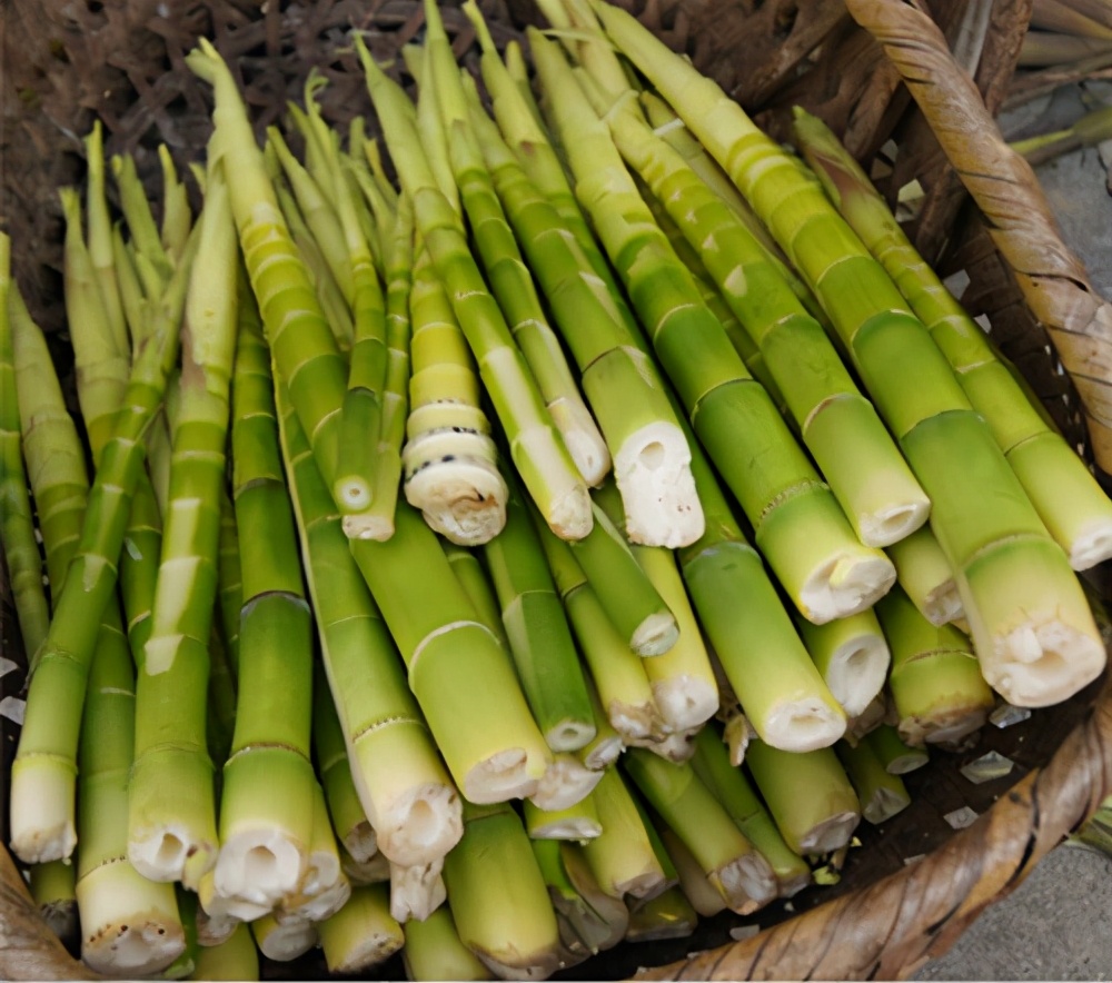 梁平土特产竹笋,重庆忠县正宗竹笋干