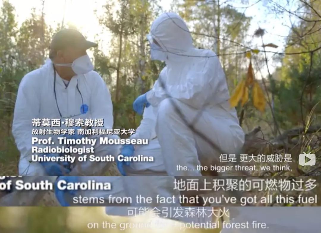 切尔诺贝利爆发山火,消防员为何不敢去救火?