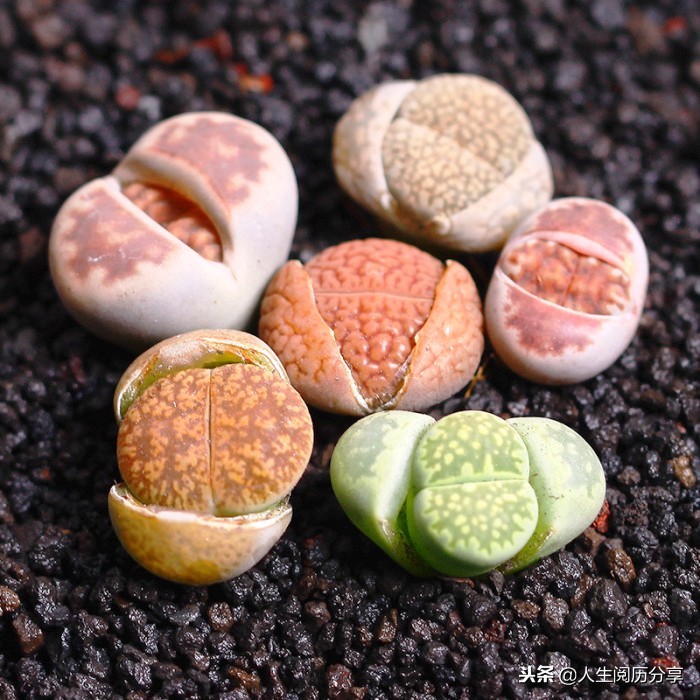 优秀的名言警句大全,特别有深刻意义的名言警句