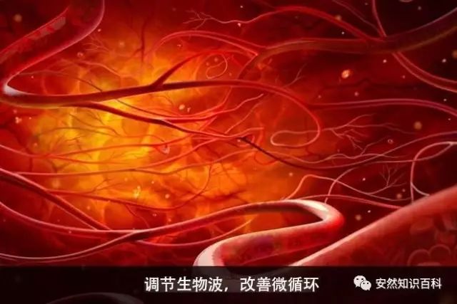 安然纳米安然之家,安然纳米查询